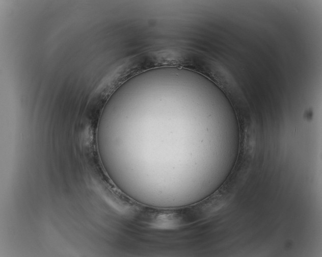 X0000112850173200908281612