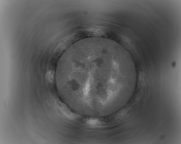 X0000112850177200908281612