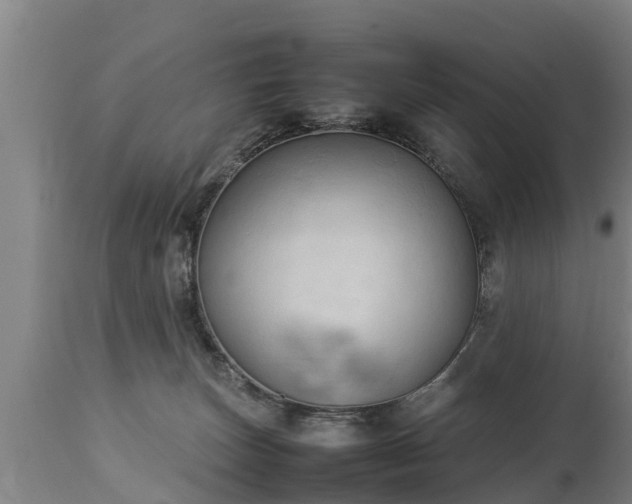 X0000112850179200908281612