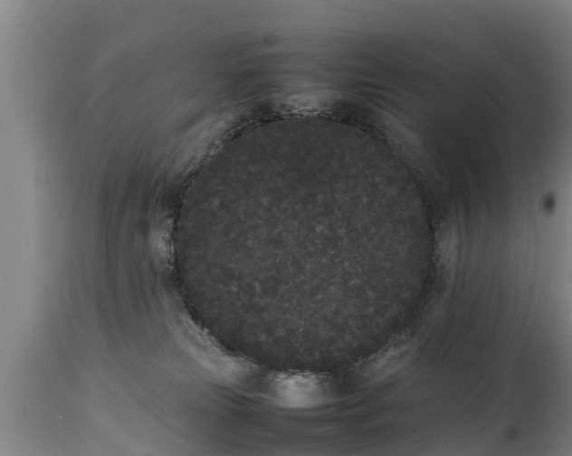 X0000112850181200908281612