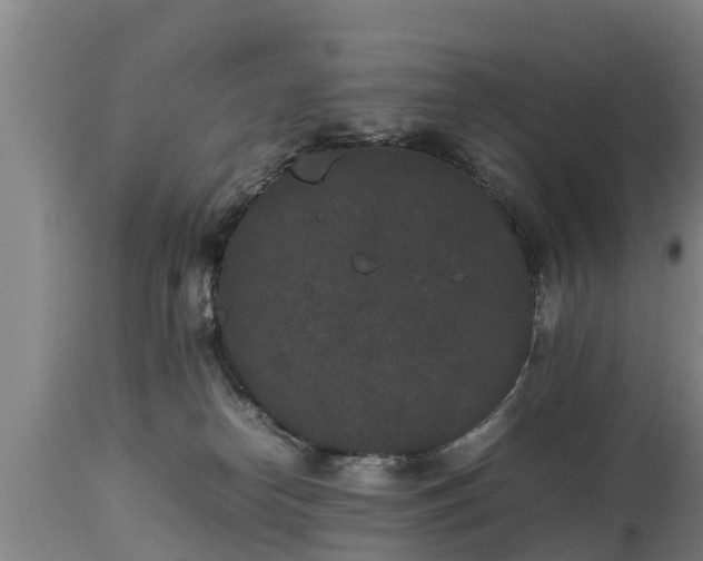 X0000112850182200908281612