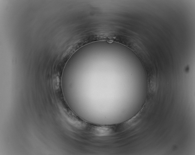 X0000112850183200908281612