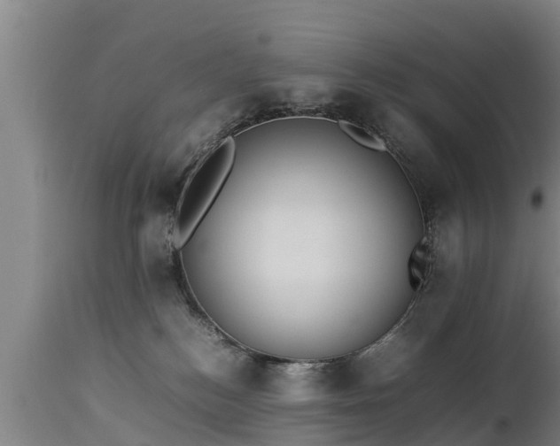 X0000112850184200908281612