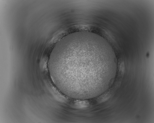 X0000112850185200908281612