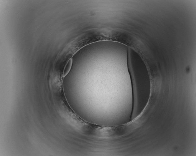 X0000112850186200908281612