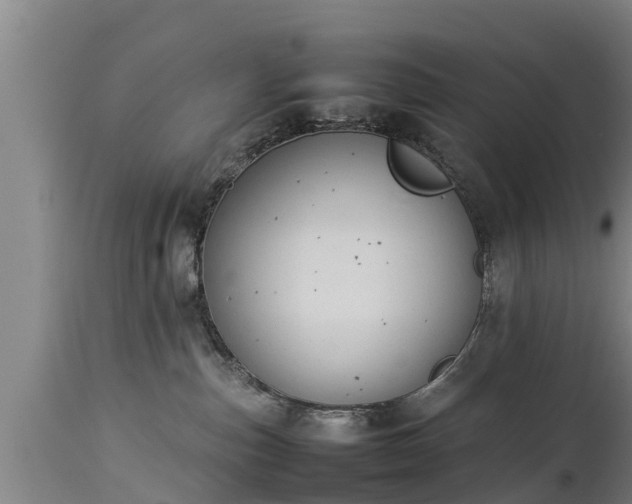 X0000112850187200908281612