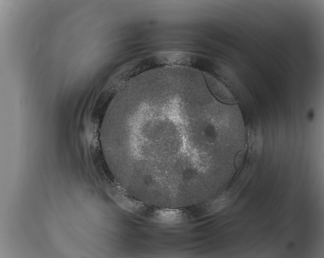 X0000112850189200908281612