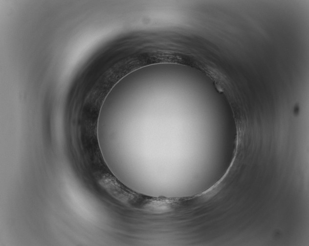 X0000112850190200908281612