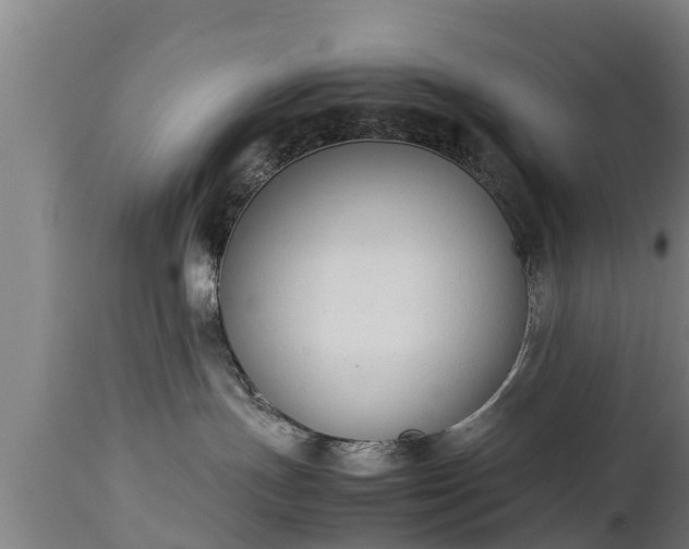 X0000112850191200908281612