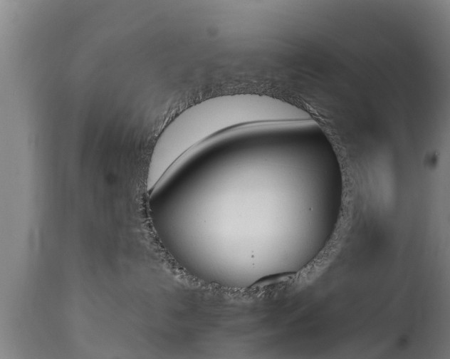 X0000112850192200908281612