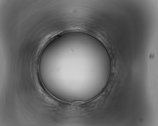 X0000112850193200908281611