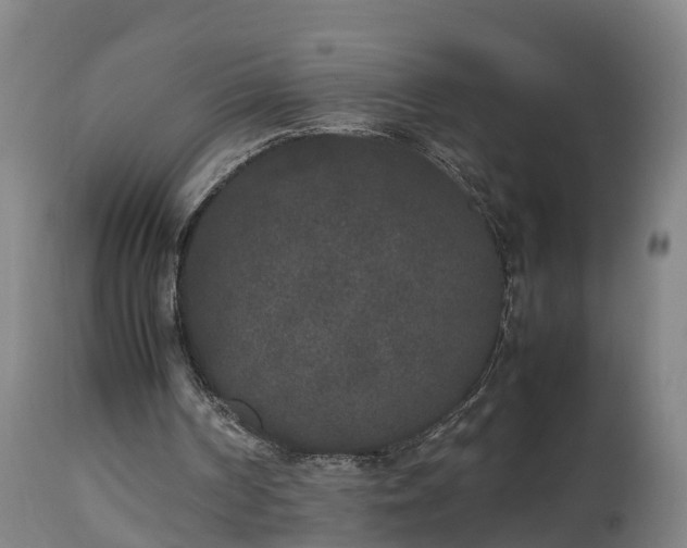 X0000112850194200908281611