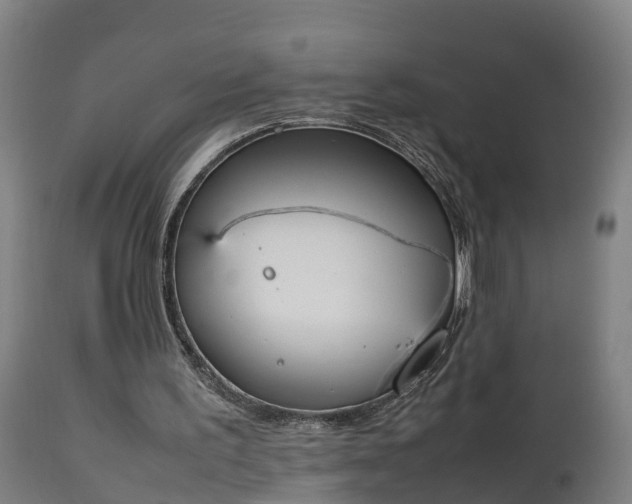 X0000112850195200908281611