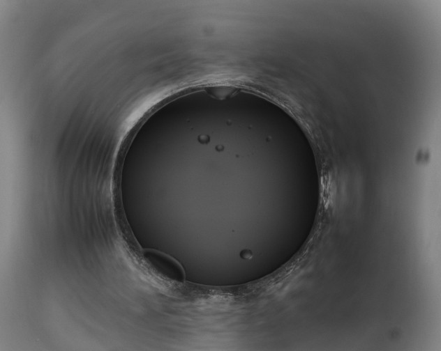 X0000112850196200908281611