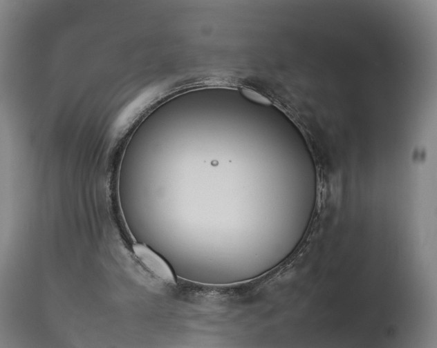 X0000112850197200908281611