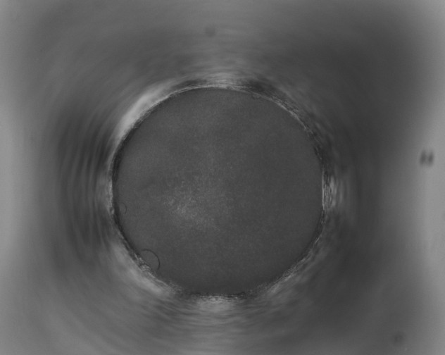 X0000112850198200908281611