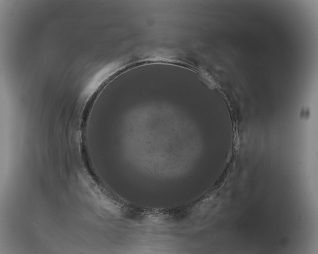 X0000112850199200908281611