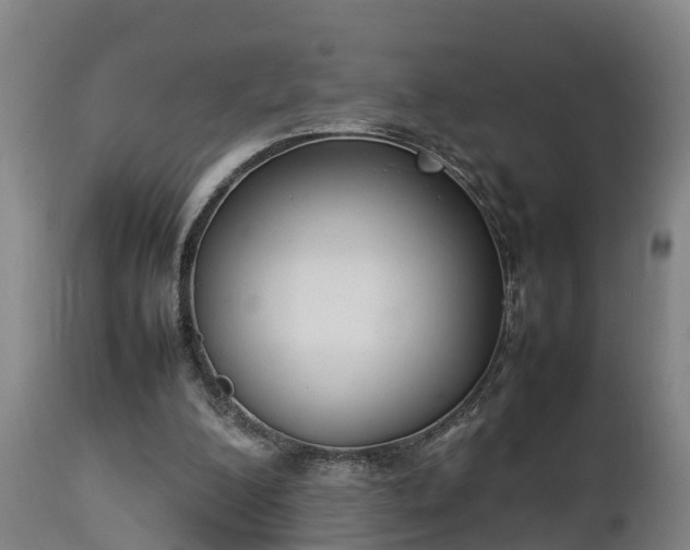 X0000112850200200908281611