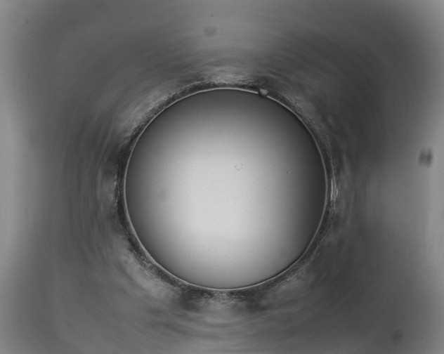 X0000112850201200908281611