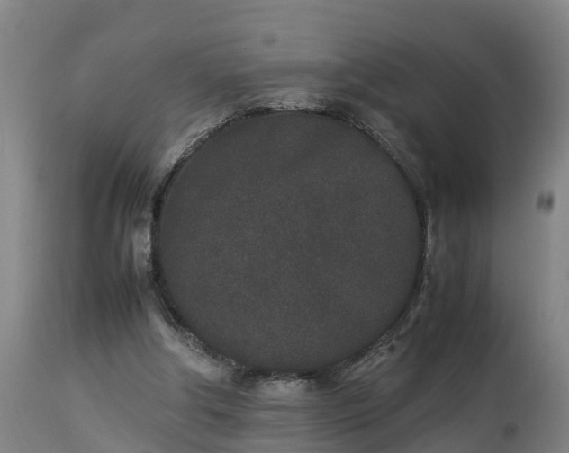 X0000112850202200908281611