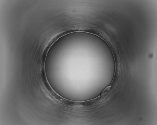 X0000112850203200908281611