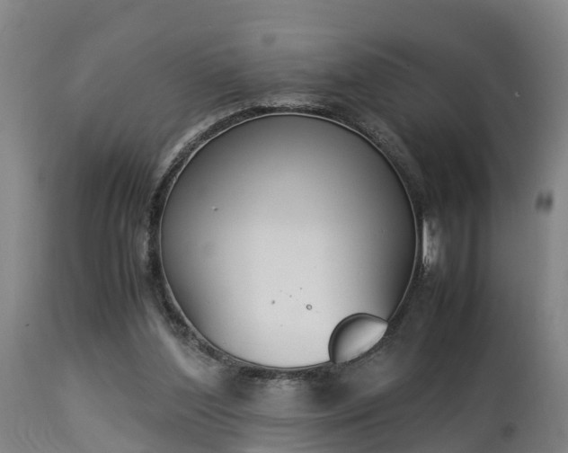 X0000112850204200908281611