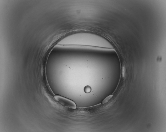 X0000112850205200908281611