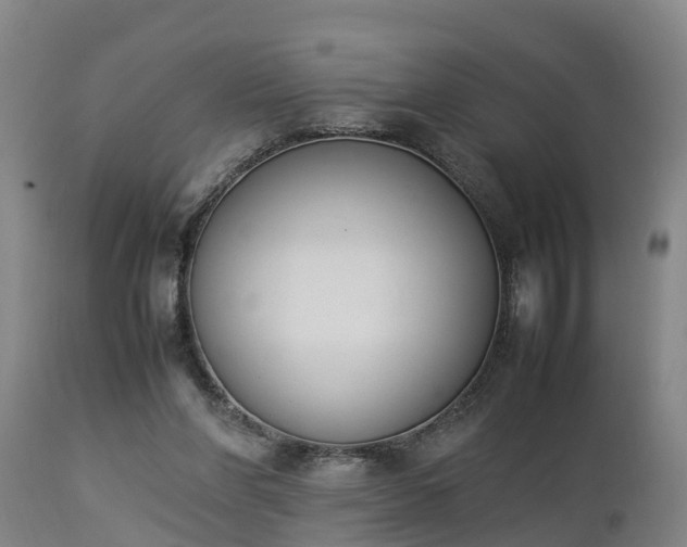 X0000112850206200908281611