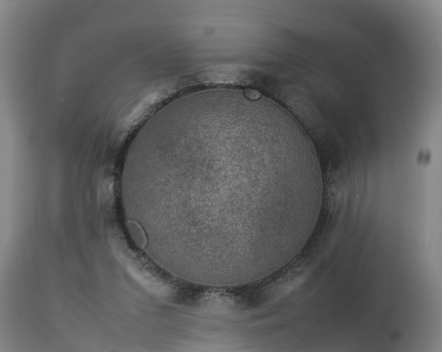 X0000112850207200908281611