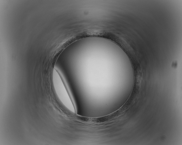 X0000112850211200908281611