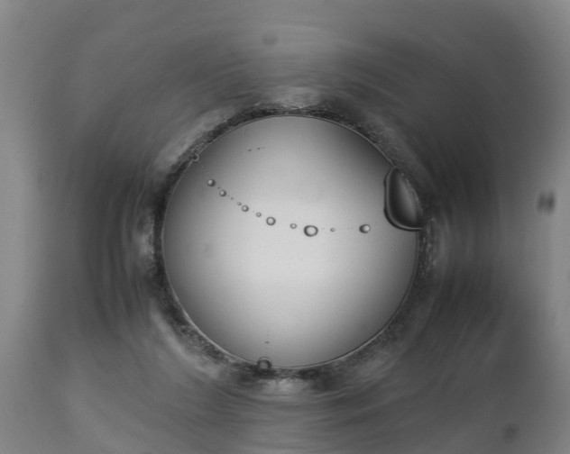 X0000112850212200908281611