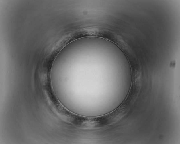 X0000112850213200908281611