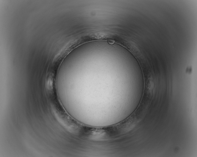 X0000112850214200908281611