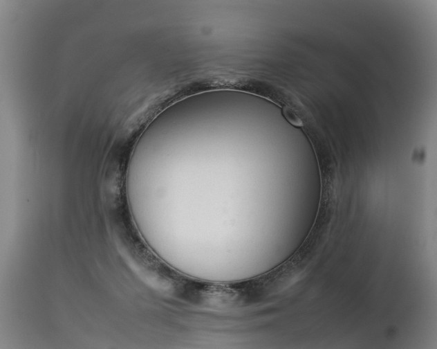 X0000112850215200908281611