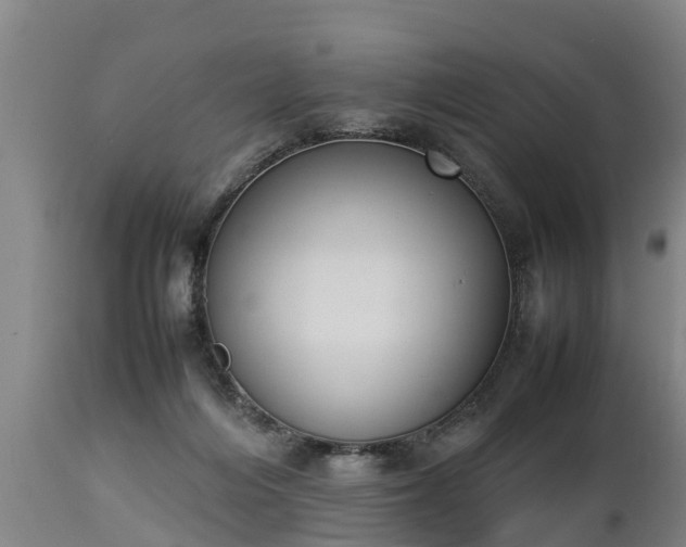 X0000112850216200908281611