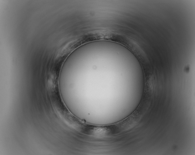 X0000112850218200908281611