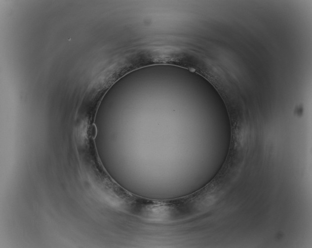 X0000112850219200908281611