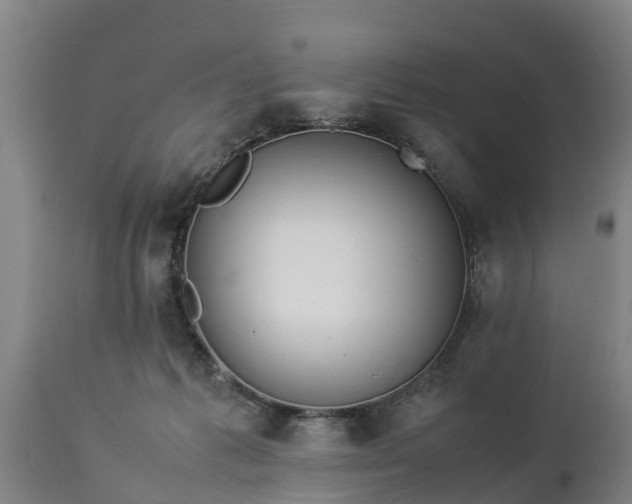 X0000112850221200908281611