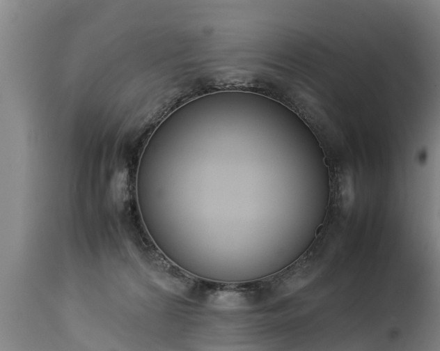 X0000112850224200908281611