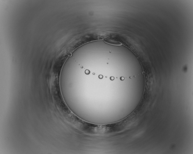 X0000112850225200908281611