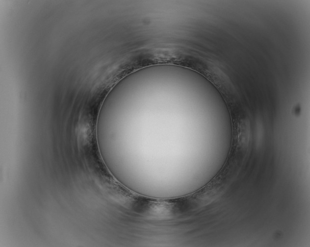 X0000112850226200908281611