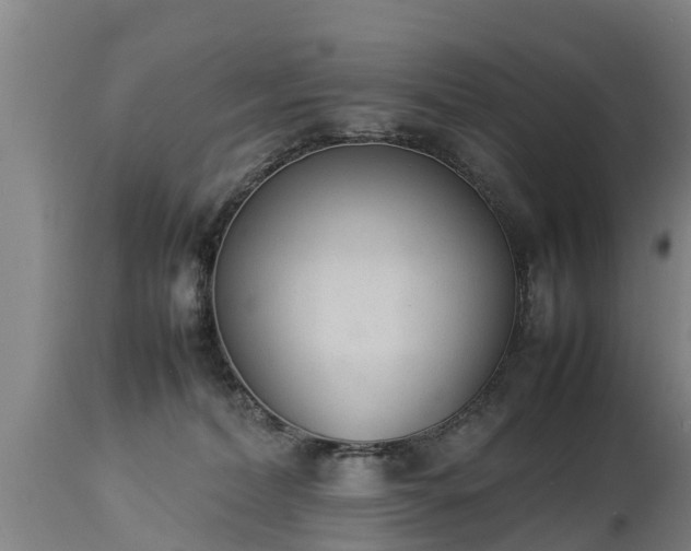 X0000112850228200908281611