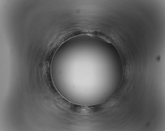 X0000112850229200908281611