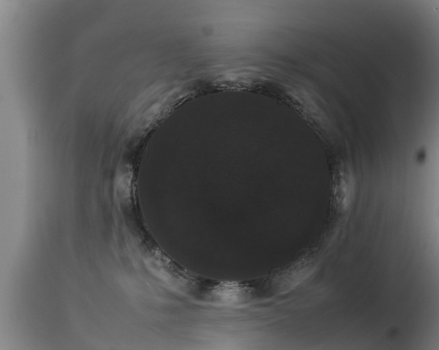 X0000112850231200908281611