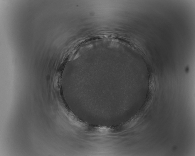 X0000112850233200908281611