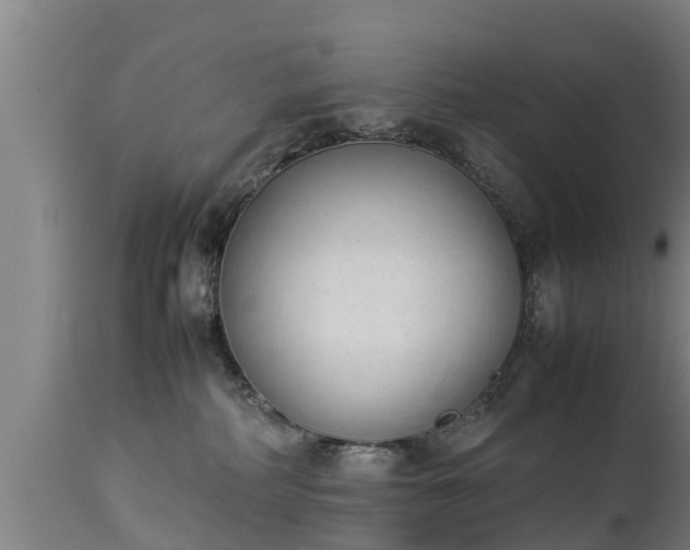 X0000112850234200908281611