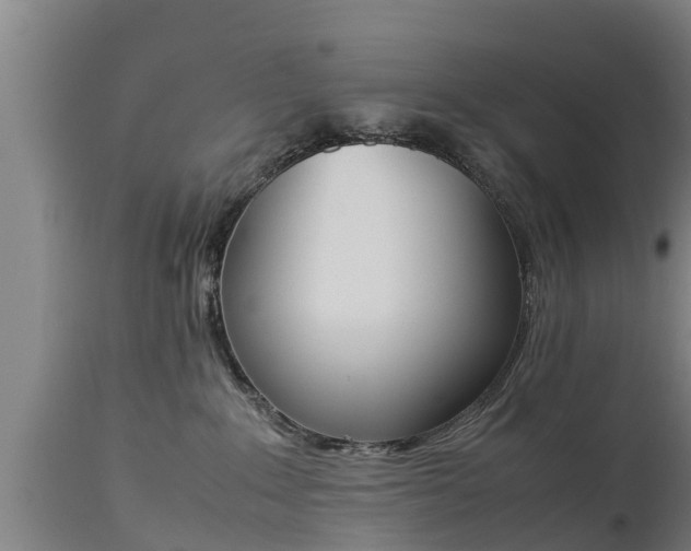 X0000112850235200908281611