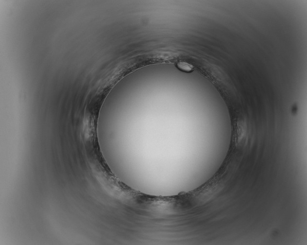 X0000112850236200908281611