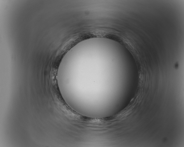 X0000112850237200908281611