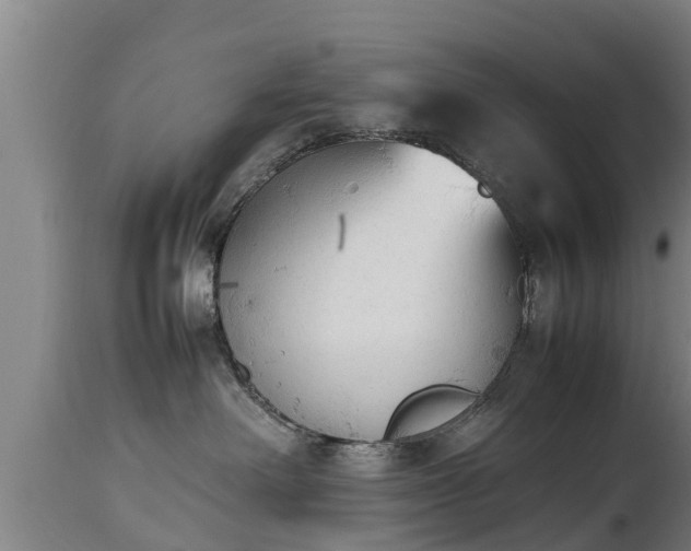 X0000112850238200908281611